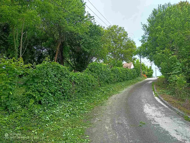 Eladó telek Zala 2000 nm