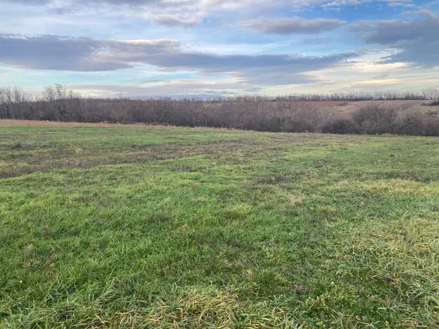 Eladó mezőgazdasági ingatlan Bálványos 4304 nm