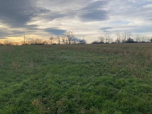 Eladó mezőgazdasági ingatlan Bálványos 4304 nm