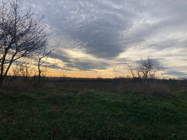 Eladó mezőgazdasági ingatlan Bálványos 4304 nm