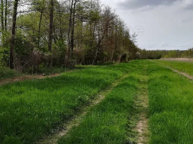 Eladó mezőgazdasági ingatlan Ádánd 161862 nm