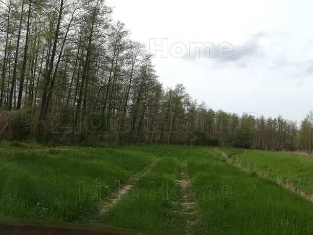 Eladó mezőgazdasági ingatlan Ádánd 161862 nm