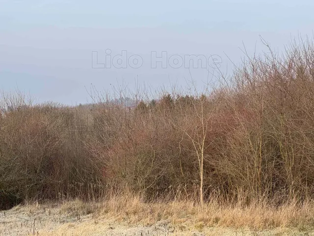 Eladó telek Zákány 2122 nm