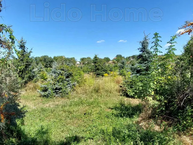 Eladó telek Balatonszárszó 3162 nm