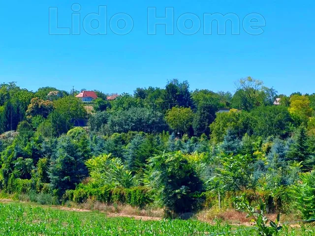 Eladó telek Balatonszárszó 3162 nm