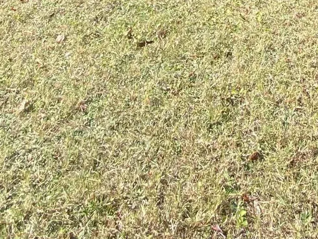 Eladó telek Siófok 724 nm