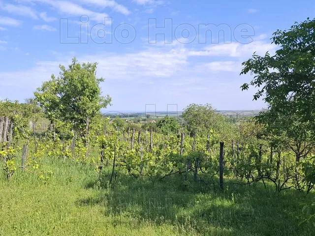 Eladó mezőgazdasági ingatlan Ádánd 25 nm