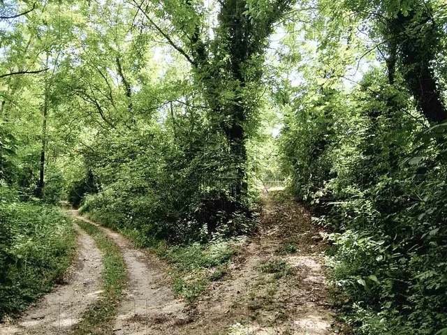 Eladó mezőgazdasági ingatlan Ságvár 1577 nm