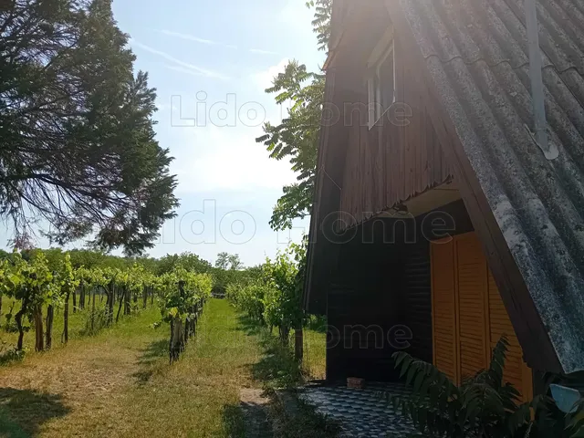 Eladó mezőgazdasági ingatlan Balatonőszöd 16 nm
