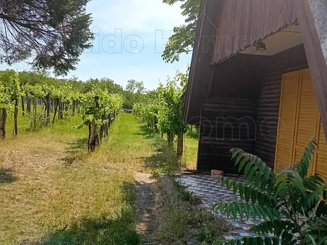 Eladó mezőgazdasági ingatlan Balatonőszöd 16 nm