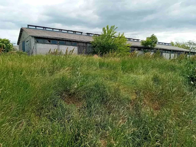 Eladó mezőgazdasági ingatlan Zamárdi 580 nm