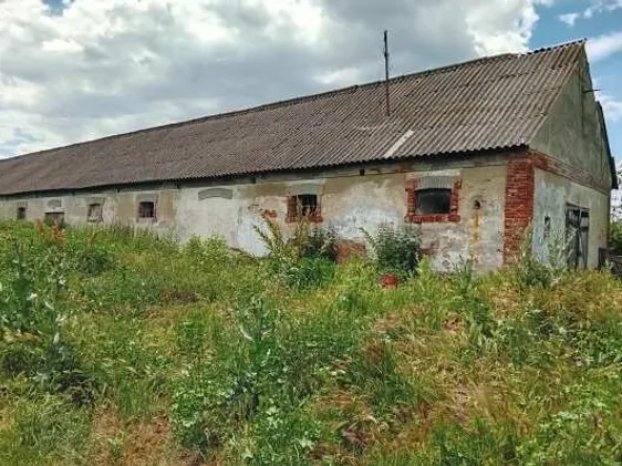 Eladó mezőgazdasági ingatlan Zamárdi 580 nm