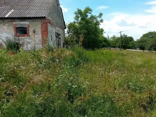 Eladó mezőgazdasági ingatlan Zamárdi 580 nm