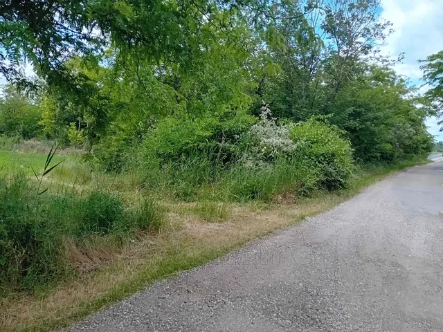 Eladó mezőgazdasági ingatlan Zamárdi 580 nm