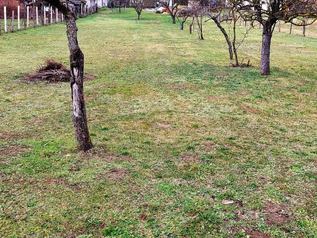 Eladó telek Kőröshegy 800 nm