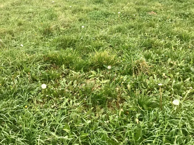 Eladó telek Balatonszabadi, Fokszabadi 3020 nm
