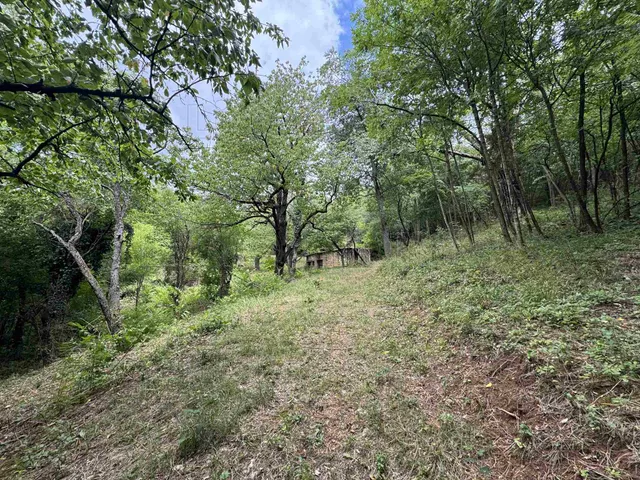 Eladó telek Cserszegtomaj 7157 nm
