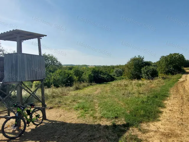 Eladó mezőgazdasági ingatlan Kötcse 2805 nm