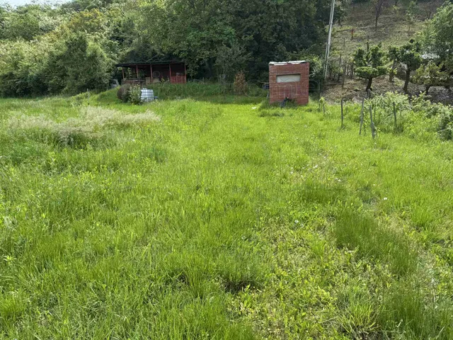 Eladó mezőgazdasági ingatlan Balatonendréd 2631 nm