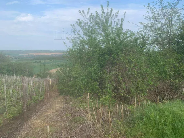 Eladó mezőgazdasági ingatlan Balatonendréd 808 nm