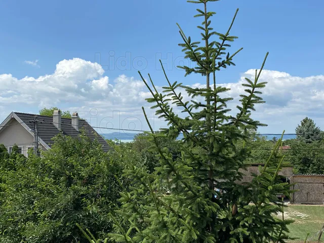 Eladó ház Balatonszárszó 165 nm