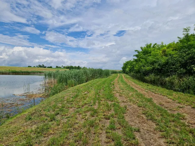 Eladó mezőgazdasági ingatlan Lajoskomárom 46000 nm