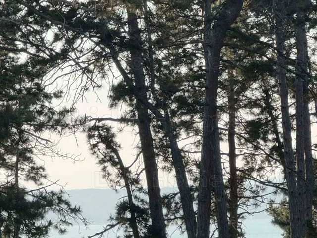 Eladó ház Siófok, Szabadifürdő 50 nm