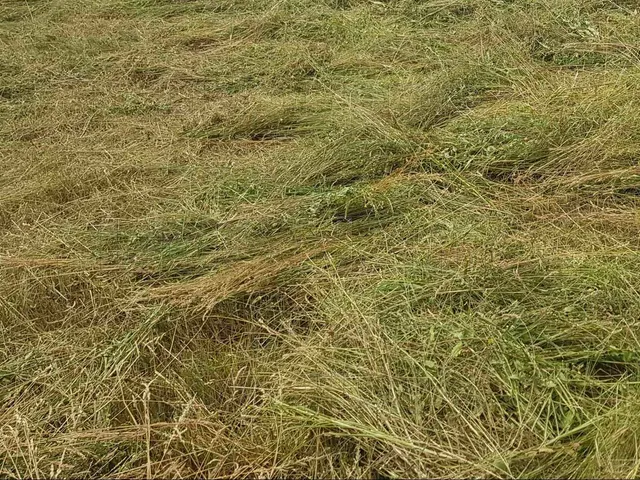 Eladó telek Siófok, Szabadifürdő 2817 nm