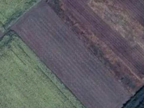 Eladó mezőgazdasági ingatlan Balatonvilágos 4498 nm
