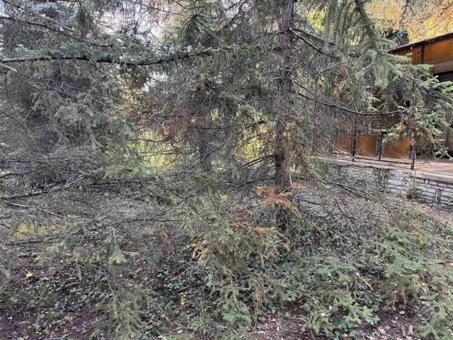 Eladó telek Balatonszárszó 450 nm