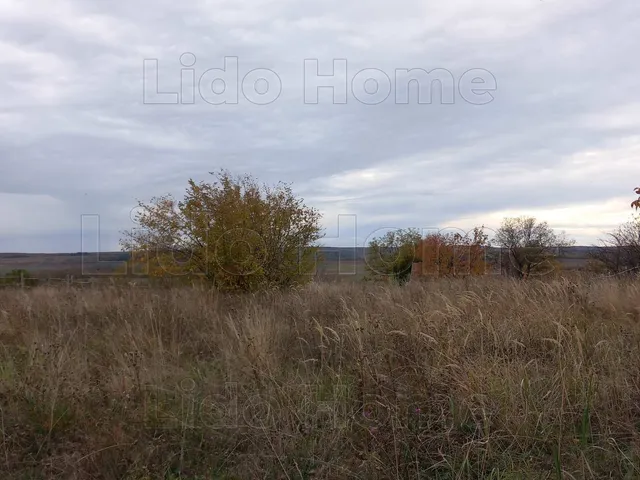 Eladó mezőgazdasági ingatlan Siófok, Töreki 1423 nm