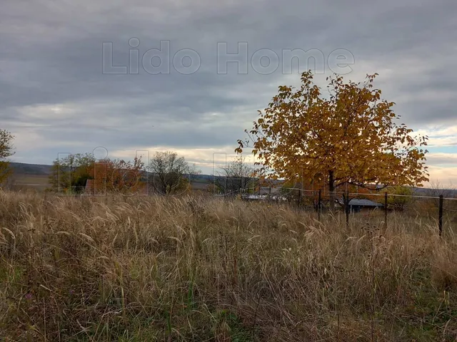 Eladó mezőgazdasági ingatlan Siófok, Töreki 1423 nm