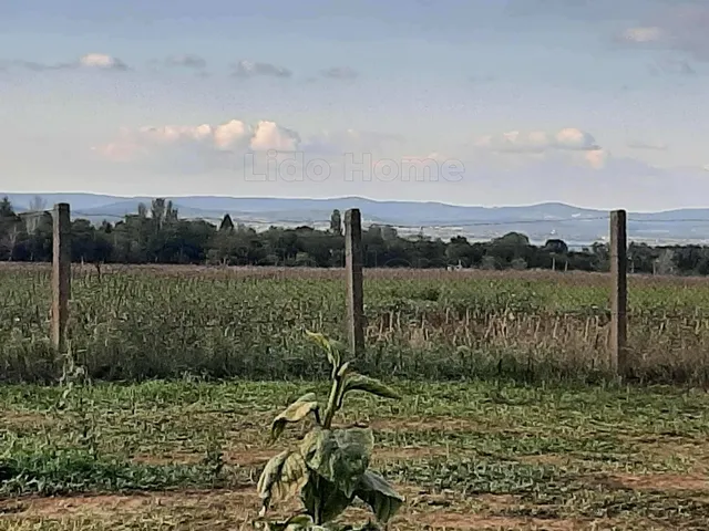 Eladó mezőgazdasági ingatlan Balatonszárszó 1141 nm