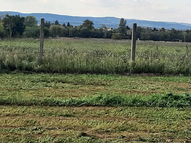 Eladó mezőgazdasági ingatlan Balatonszárszó 1141 nm
