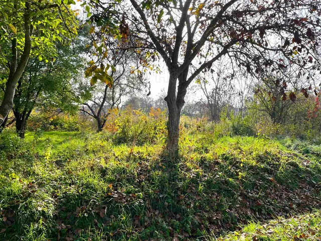 Eladó telek Siófok, Sóstó 1610 nm