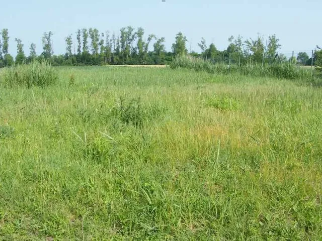 Eladó telek Balatonszabadi 824 nm