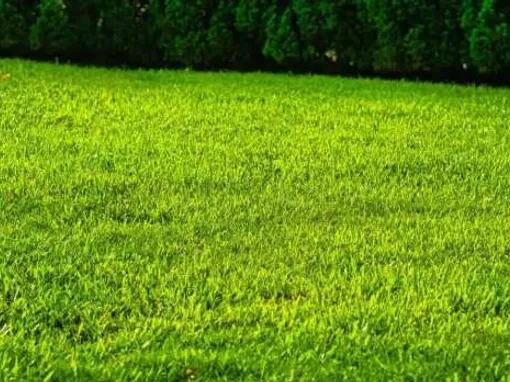 Eladó telek Siófok, Sóstó 782 nm