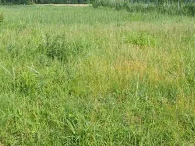 Eladó telek Siófok, Balatonkiliti 980 nm