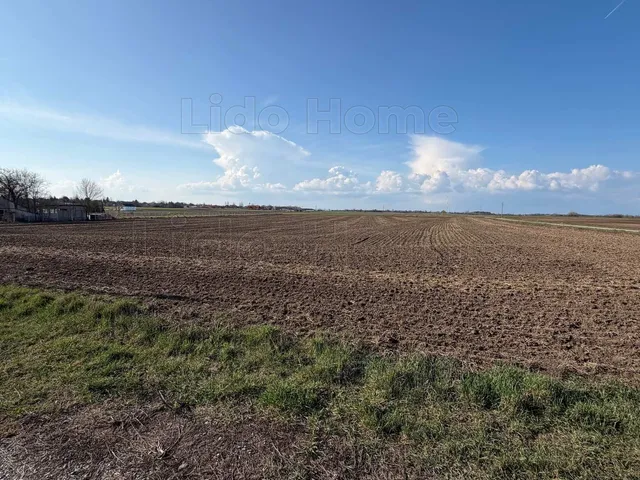 Eladó telek Balatonszabadi 5153 nm