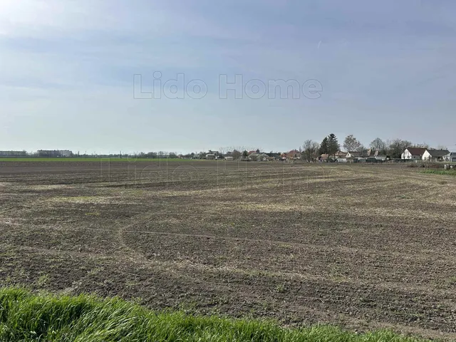 Eladó telek Lepsény 2520 nm