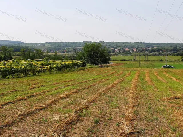 Eladó mezőgazdasági ingatlan Kőröshegy 2004 nm