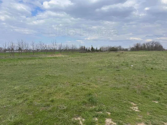 Eladó telek Balatonboglár 5025 nm