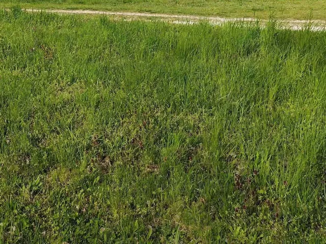 Eladó telek Balatonszárszó 1044 nm