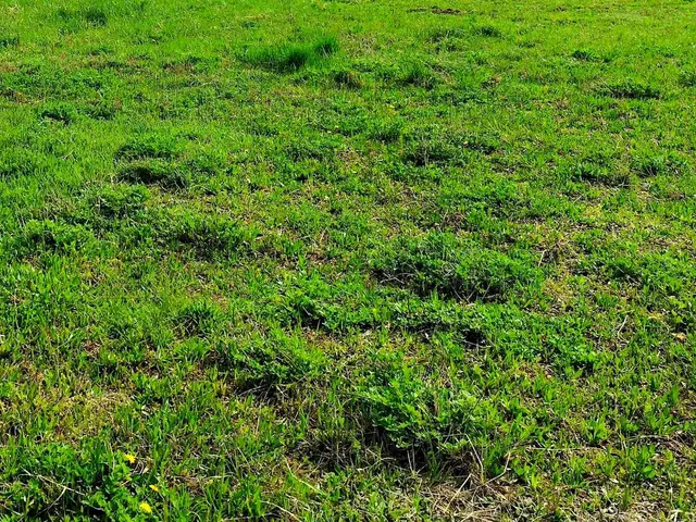 Eladó telek Balatonszárszó 721 nm