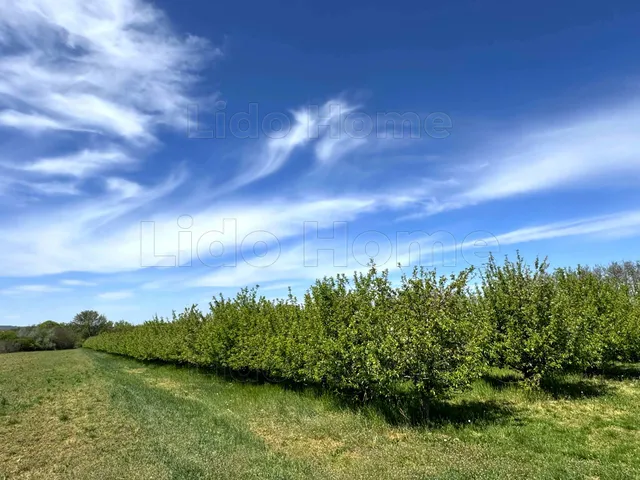 Eladó mezőgazdasági ingatlan Siófok 12121 nm