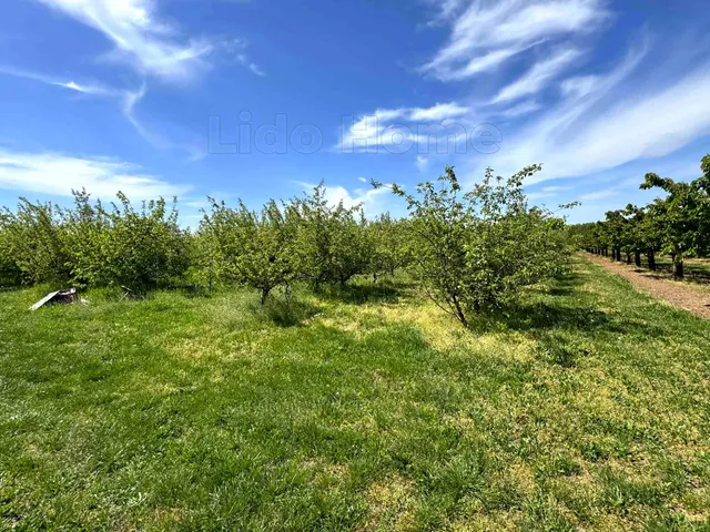 Eladó mezőgazdasági ingatlan Siófok 12121 nm