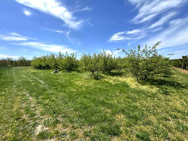 Eladó mezőgazdasági ingatlan Siófok 12121 nm
