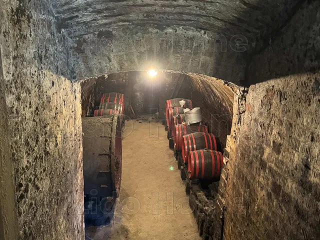 Eladó mezőgazdasági ingatlan Siófok, Töreki 3022 nm