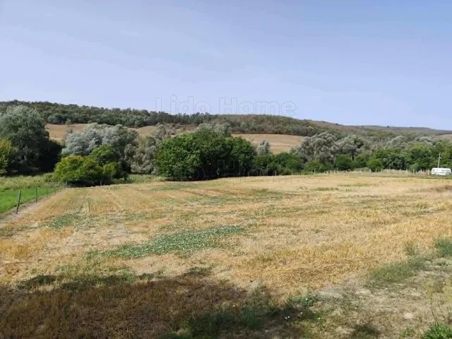 Eladó telek Kereki 1908 nm