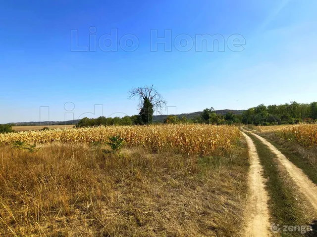 Eladó telek Kapoly 3200 nm